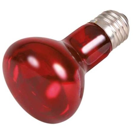 Infrared Heat Spot-Lamp red 35 W