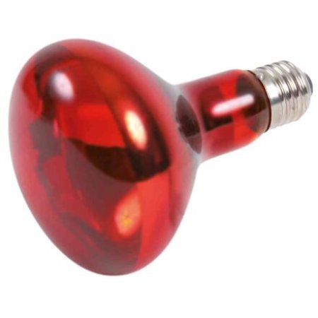 Infrared Heat Spot-Lamp red 100 W