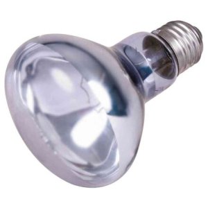 Trixie Neodymium Basking-Spot-Lamp 100 W