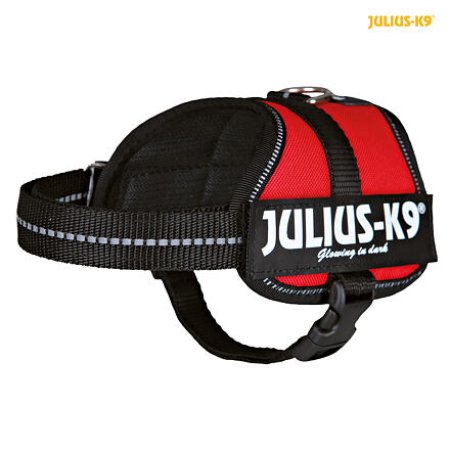 Julius-K9 silový postroj Baby 2/XS-S 33-45 cm, - červená