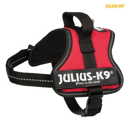 Julius-K9 silový postroj Mini-Mini/XS 40-53 cm/22 mm - červená