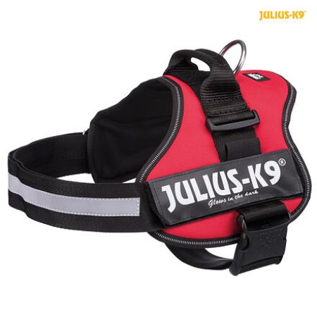 Julius-K9 silový postroj 2/L-XL 71-96 cm/50 mm, - červený