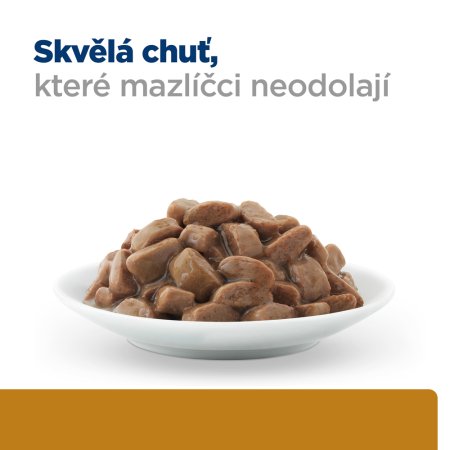 Hill’s Prescription Diet s/d Péče o močový systém kapsička pro kočky 12 x 85 g