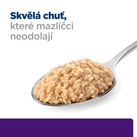 Hill’s Prescription Diet u/d Péče o močový systém konzerva pro psy 370 g