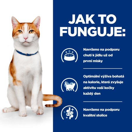 Hill’s Prescription Diet On-Care Péče při rekonvalescenci pro kočky 82 g