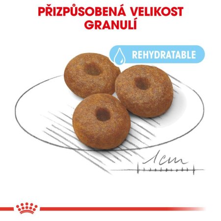 Royal Canin Maxi Starter 15 kg
