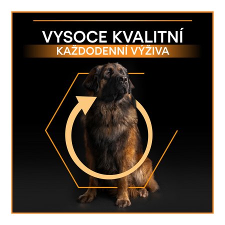 Pro Plan Large Adult Robust kuře 14 + 2,5 kg