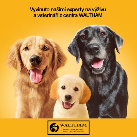 PEDIGREE konzerva s hovězím v želé 1,2 kg
