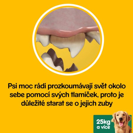 PEDIGREE pochoutka DentaStix Large 56pack 2160 g