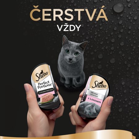 Sheba Perfect Portions s lososem 6 x 37,5 g