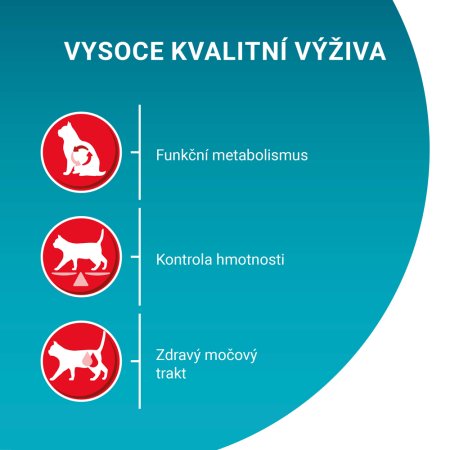 Purina One Bifensis Sterilcat s kuřetem a pšenicí 800 g