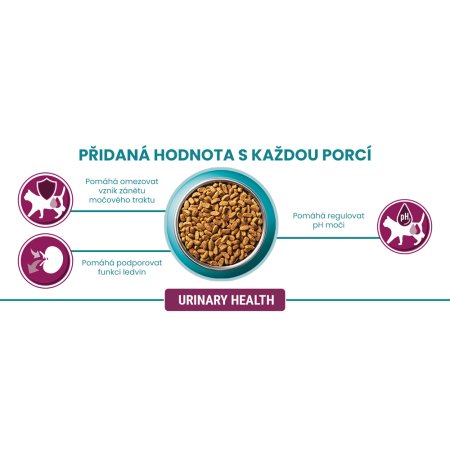 Purina One Bifensis Urinary Care s kuřetem a pšenicí 800 g