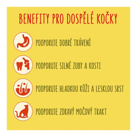 Friskies s lososem a přidanou zeleninou 1,7 kg