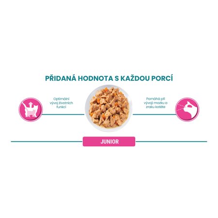 Purina One Multipack Junior minifiletky s lososem a mrkví ve šťávě 4 x 85 g