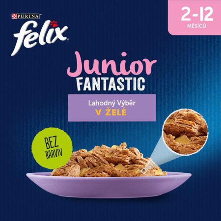 Felix Fantastic Junior Multipack s kuřetem a lososem v želé 4 x 85 g 
