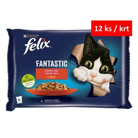 Felix Fantastic Multipack s hovězím a kuřetem v želé 4 x 85 g