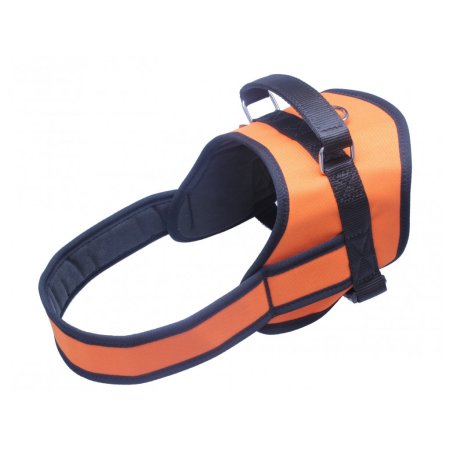 PROFIZOO Služební postroj M popruh (OH 60 - 81 cm) oranžová