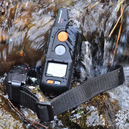 Dogtrace Vysílač d-control professional 2000 černá