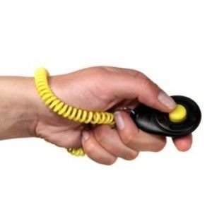 Dogtrace Clicker De luxe