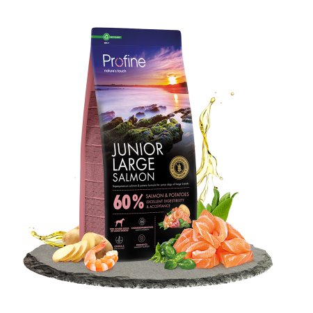 Profine Dog Dry Junior Large Salmon 12kg