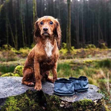 Henry Wag cestovní dvojmiska Snaffle