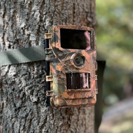 Dogtrace Fotopast d-guard 940