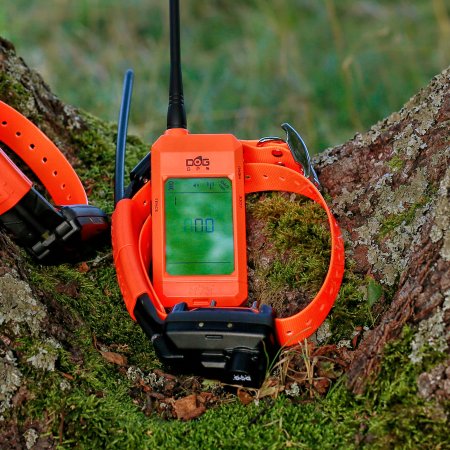 Dogtrace Obojek pro dalšího psa DOG GPS X25TB Short