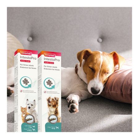 Pasta Beaphar IntestoPro L pro velké psy 2x 20ml 