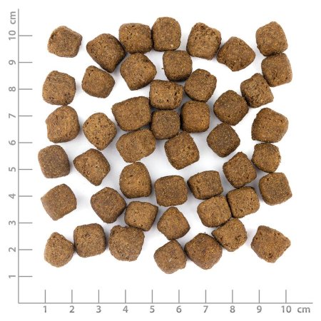 Wolfsblut Limited Ingredients Dark Forest ADULT 1 kg