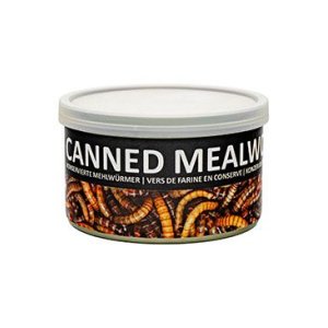 UGF moučný červ konzerva 35g