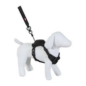 Postroj pes s vodítkem EASY RIDE černá S Zolux