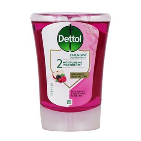 Dettol náhradní náplň Lesní ovoce 250ml