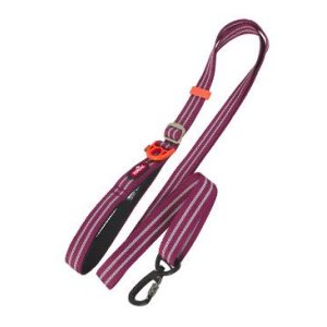 Vodítko pes BIVOUAK nastavitelné 25mm/1,15-2m červ Zol