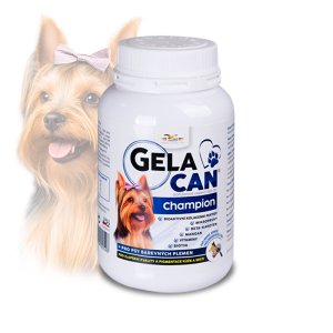 Gelacan Champion pro barevné psy 150 g