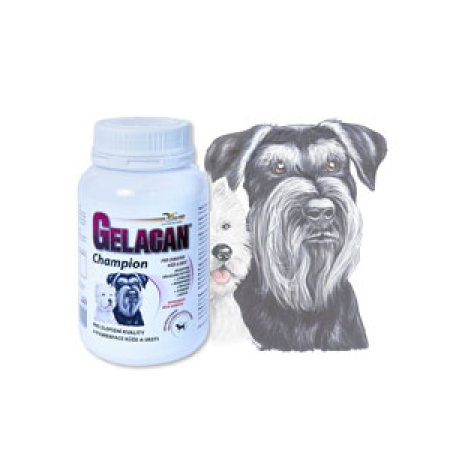 Gelacan Champion pro černobílé psy 150 g