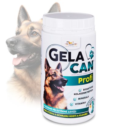 Gelacan Profi 500 g