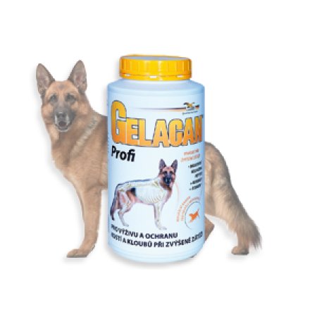 Gelacan Profi 1000 g