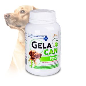 Gelacan Fast 150 g
