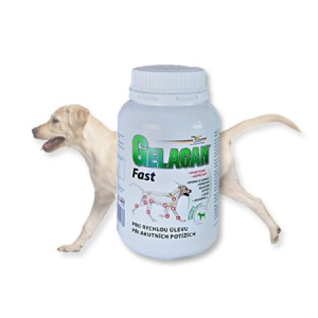 Gelacan Fast 150 g