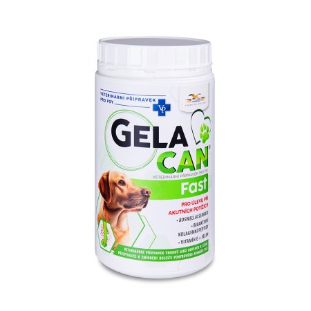 Gelacan Fast 500 g