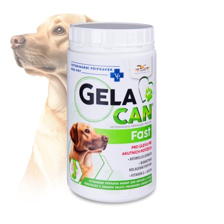 Gelacan Fast 500 g