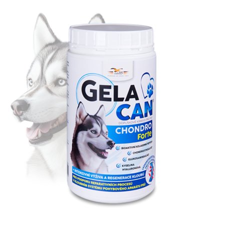 Gelacan Chondro Forte 500 g