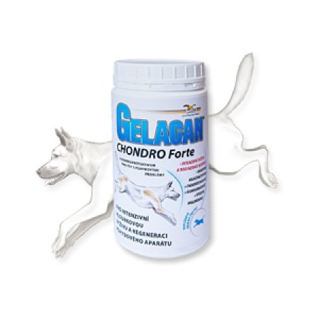 Gelacan Chondro Forte 500 g