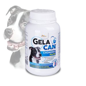 Gelacan Chondro Forte 150 g