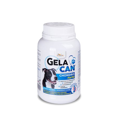 Gelacan Chondro Forte 150 g