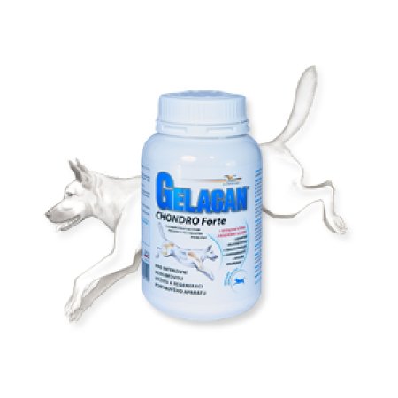 Gelacan Chondro Forte 150 g