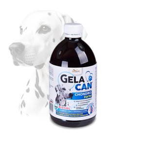 Gelacan Chondro Forte Biosol 500 ml