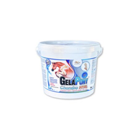 Gelapony Chondro Hyal