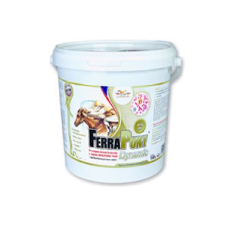 Ferrapony Dynamic 10 kg