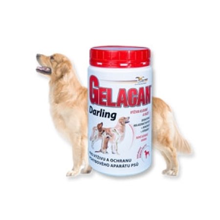 Gelacan Darling 500 g